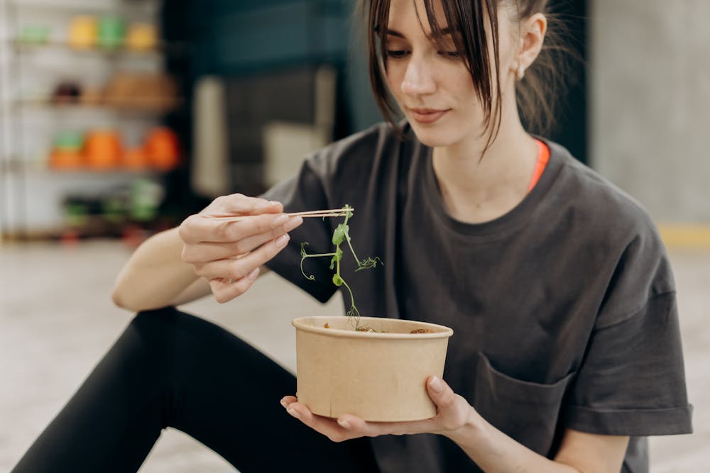 Building a Balanced Plate: The Essentials of a Nutritious Meal