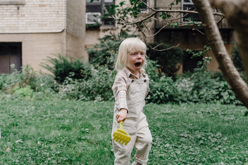 Mindful Mealtime: Creating a Positive Eating Environment