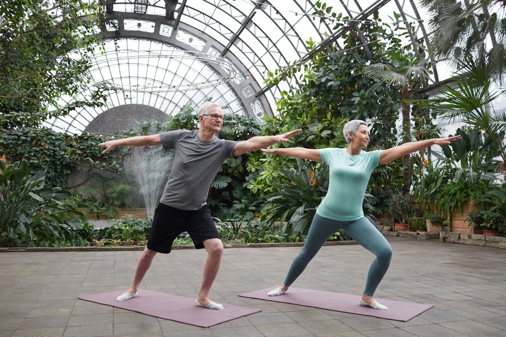 Healthy Aging: Senior Success Stories in Fitness